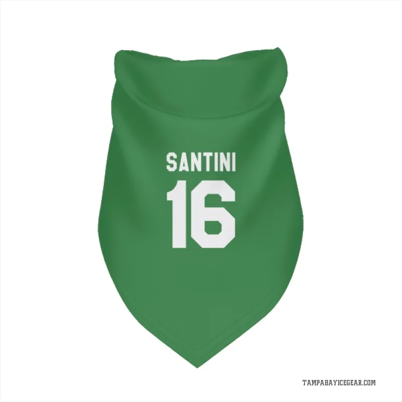 Steven Santini  Green Tampa Bay Lightning  Cat & Dog Pet Bandana