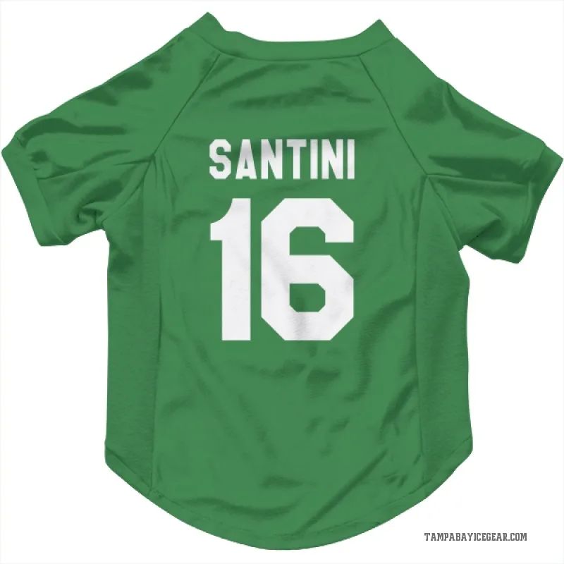 Steven Santini  Green Tampa Bay Lightning  Cat & Dog Pet Jersey